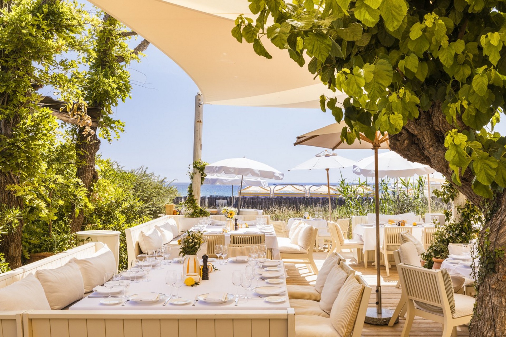 Loulou Ramatuelle, Saint-Tropez